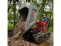 2025 Toro Ultra Buggy® 2500-TS (68141)