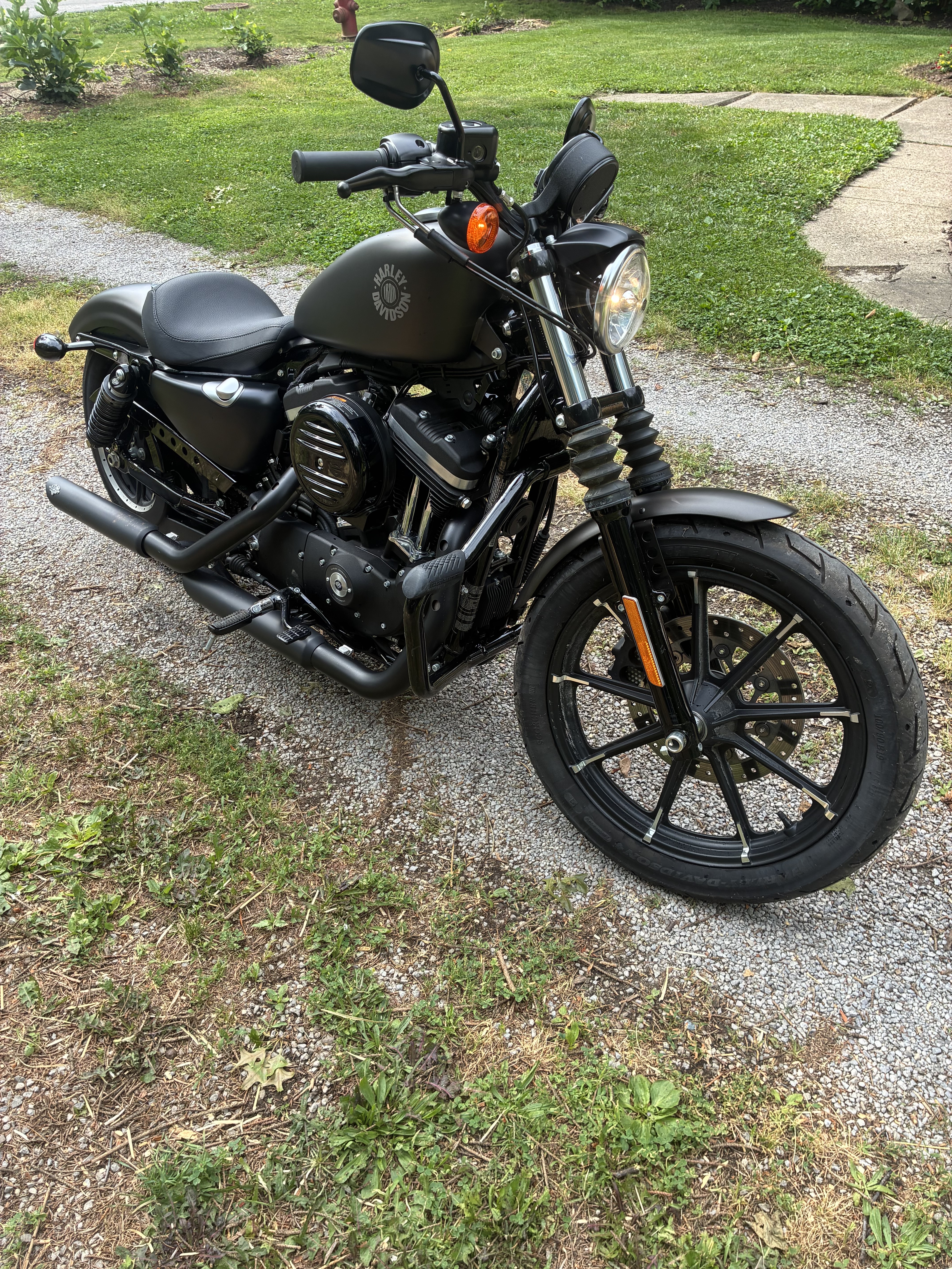 2021 Harley-Davidson SPORTSTER 883 IRON IRON in Lorain, OH