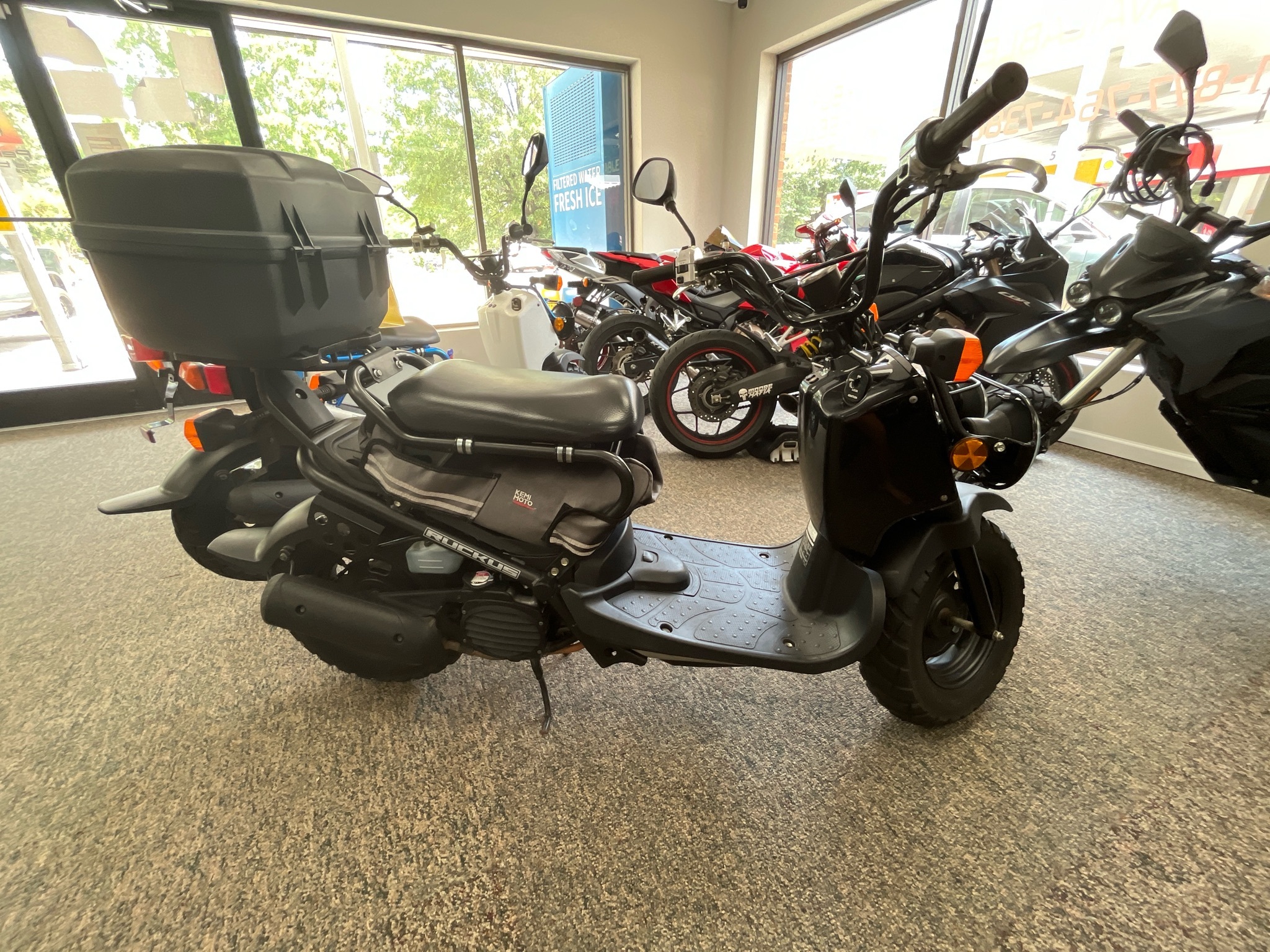 2024 Honda Ruckus in Cary, NC