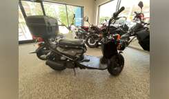2024 Honda Ruckus Scooter motorcycle