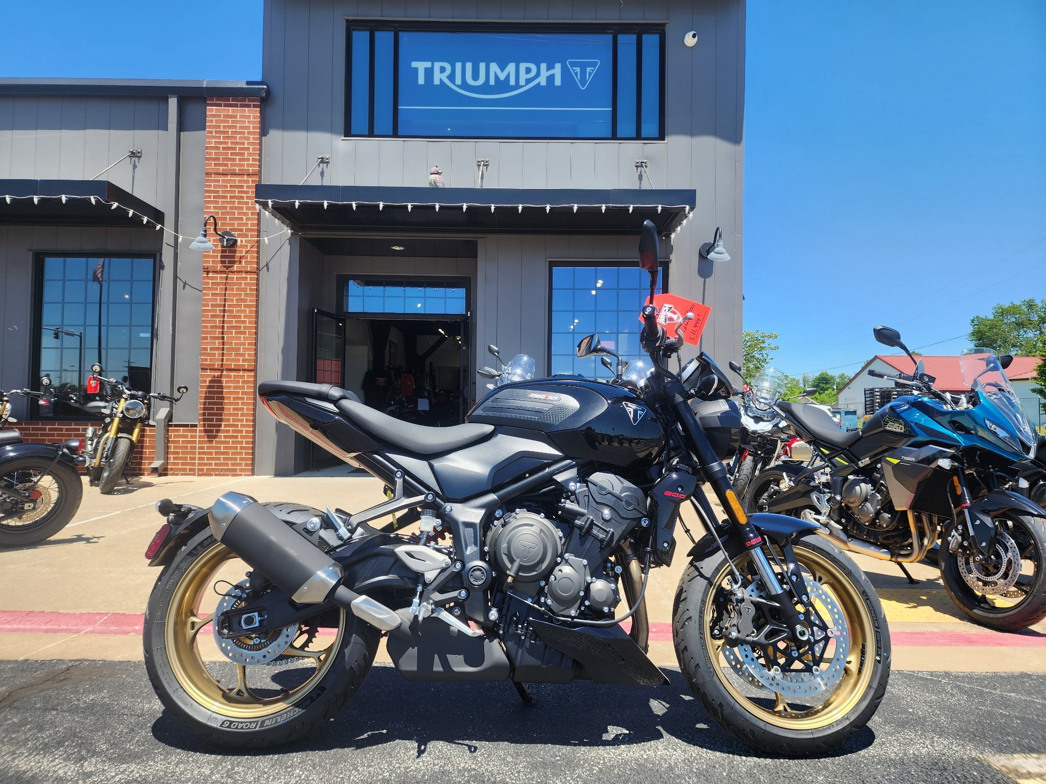 2026 Triumph Trident 800 800 in Rogers, AR