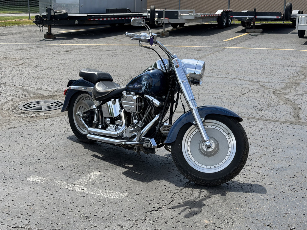 1999 Harley-Davidson FLSTF in Monroe, MI