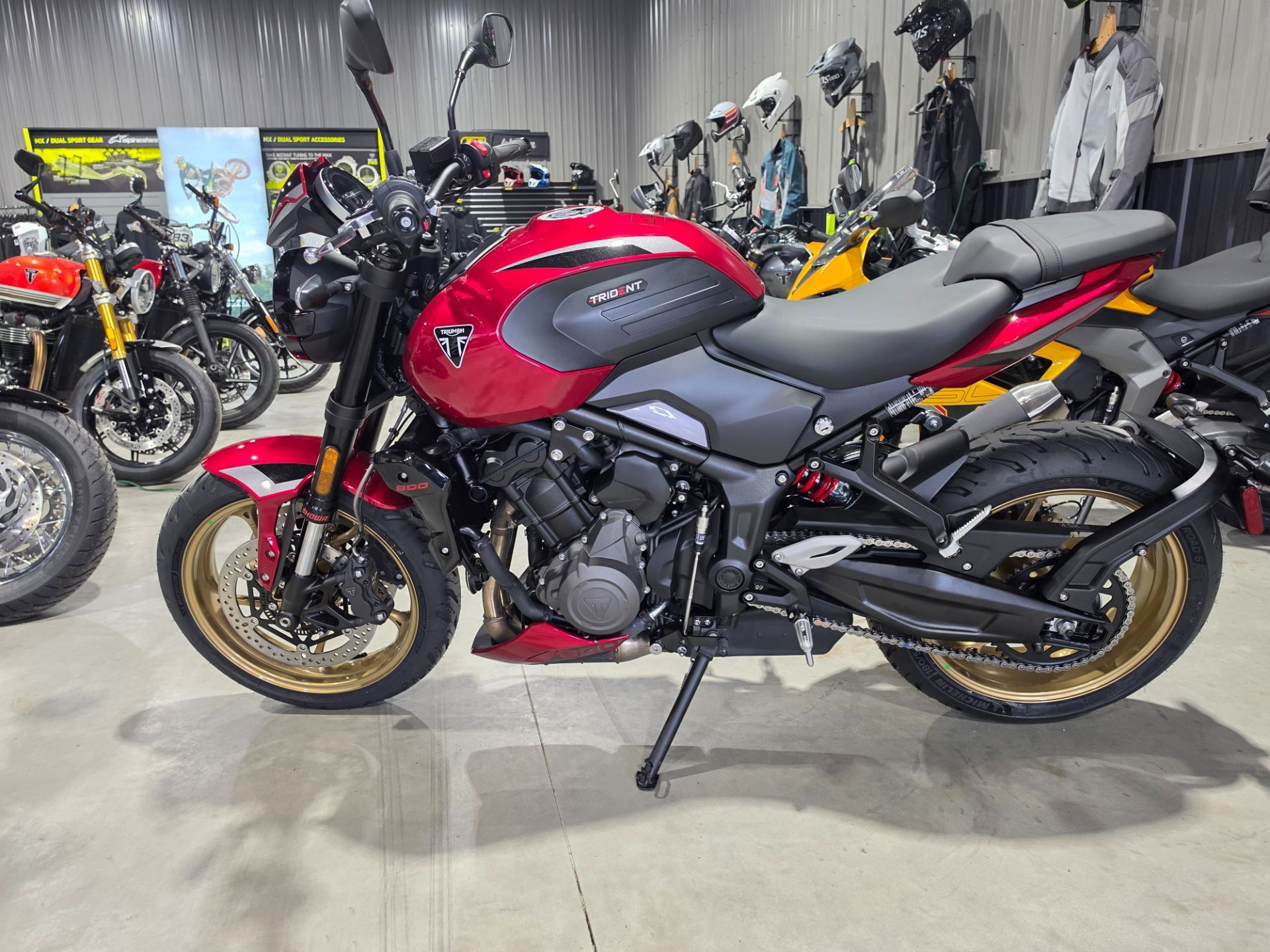 2026 Triumph Trident 800 800 in Hawley, MN
