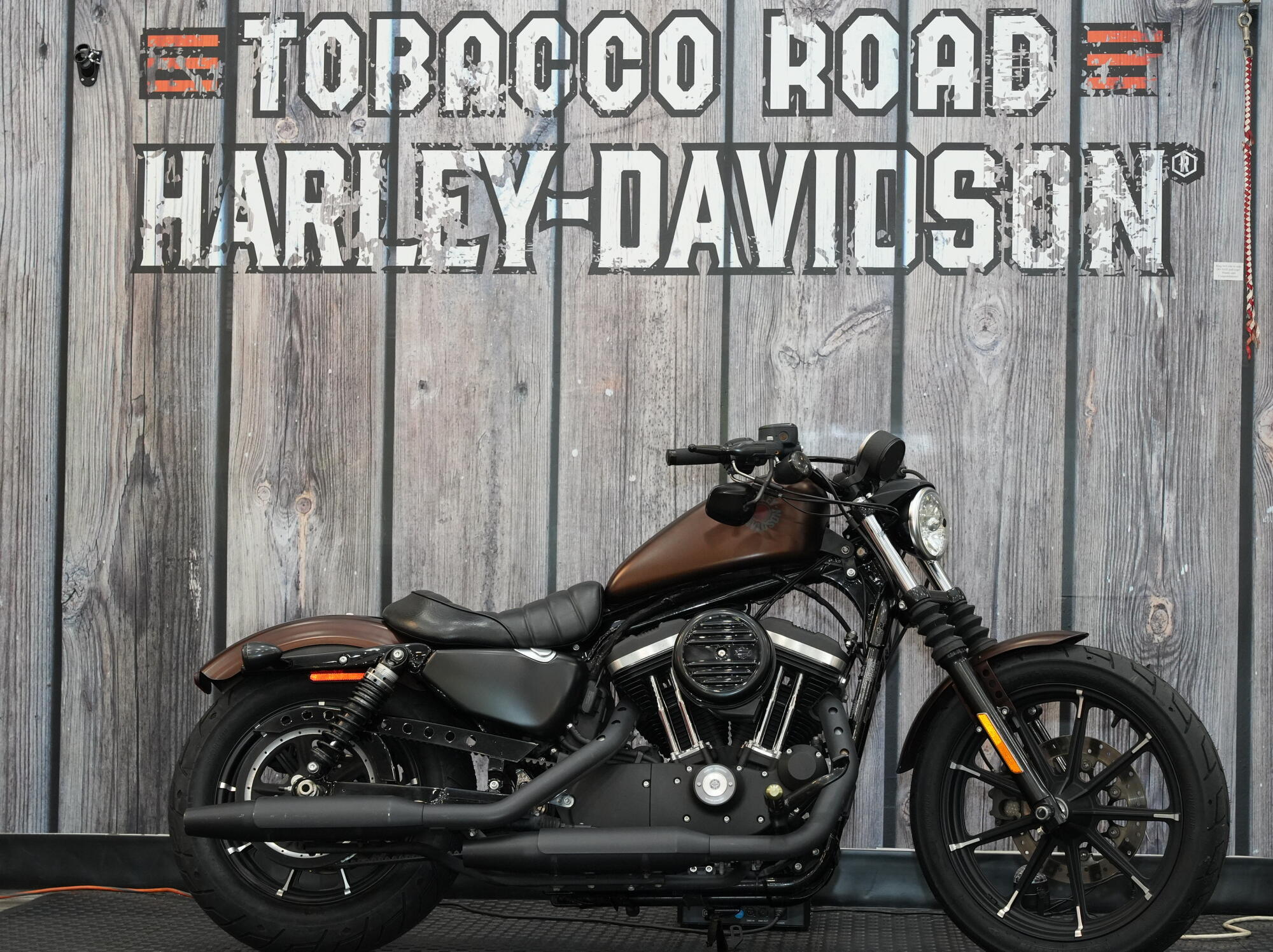 2019 Harley-Davidson Iron 883 IRON in Raleigh, NC