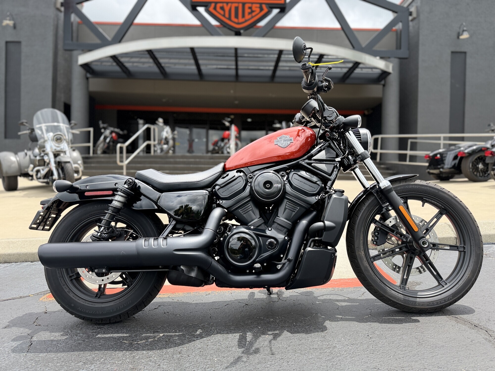 2025 Harley-Davidson Nightster in Tallahassee, FL