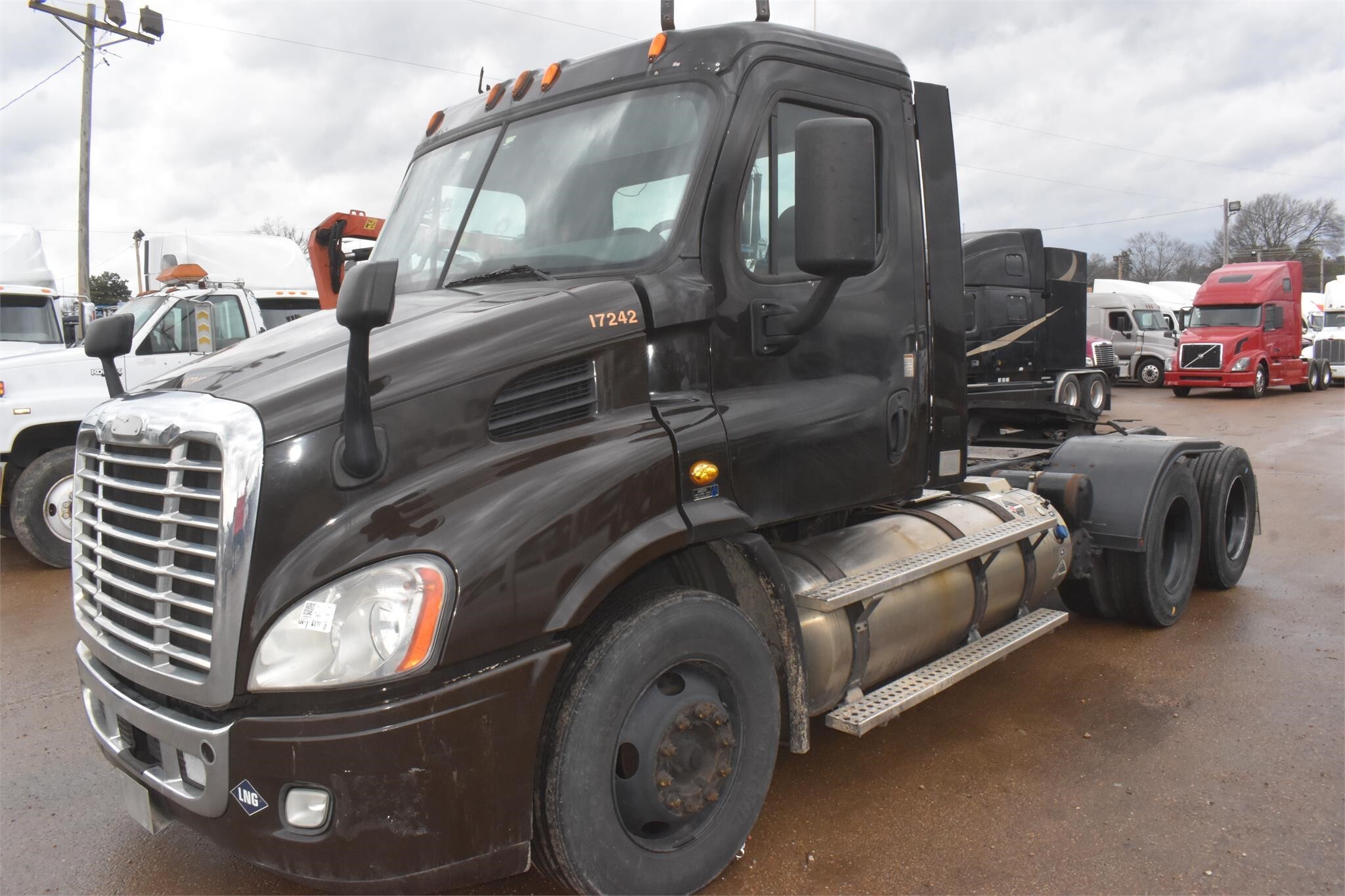 2015 FREIGHTLINER CASCADIA 113 in Covington, TN