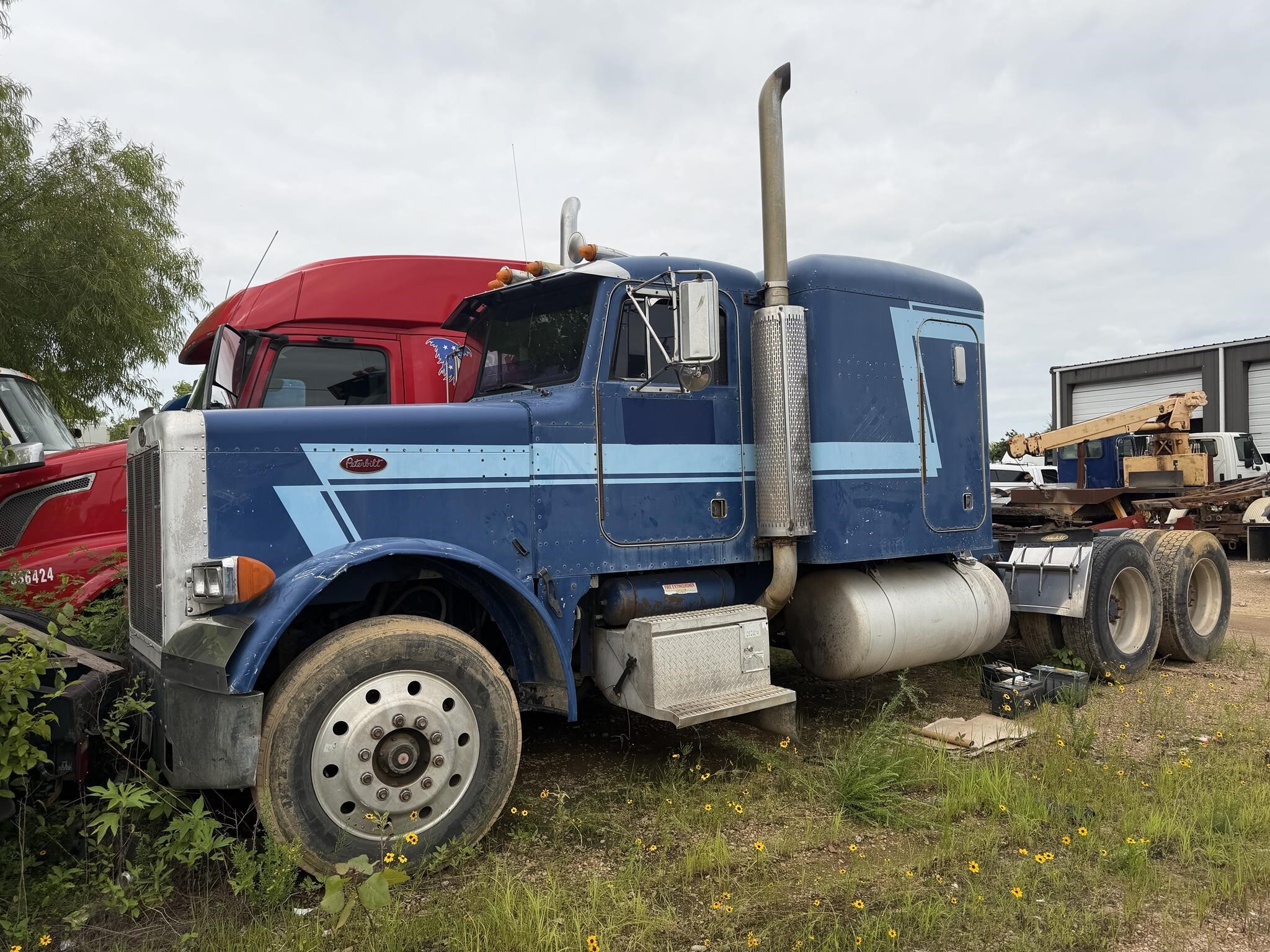 1993 PETERBILT 379 in Covington, TN