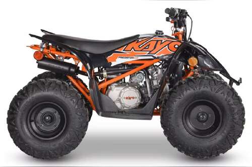 2026 Kayo Predator 110 125 in warren OH