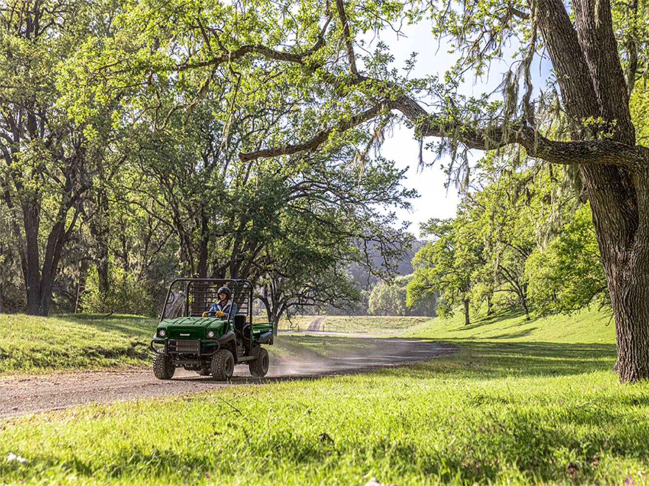 A photo of this 2026 Kawasaki MULE™ 4010 4x4