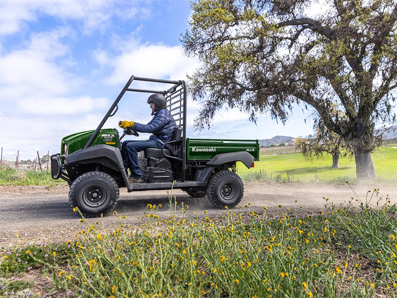 A photo of this 2026 Kawasaki MULE™ 4010 4x4