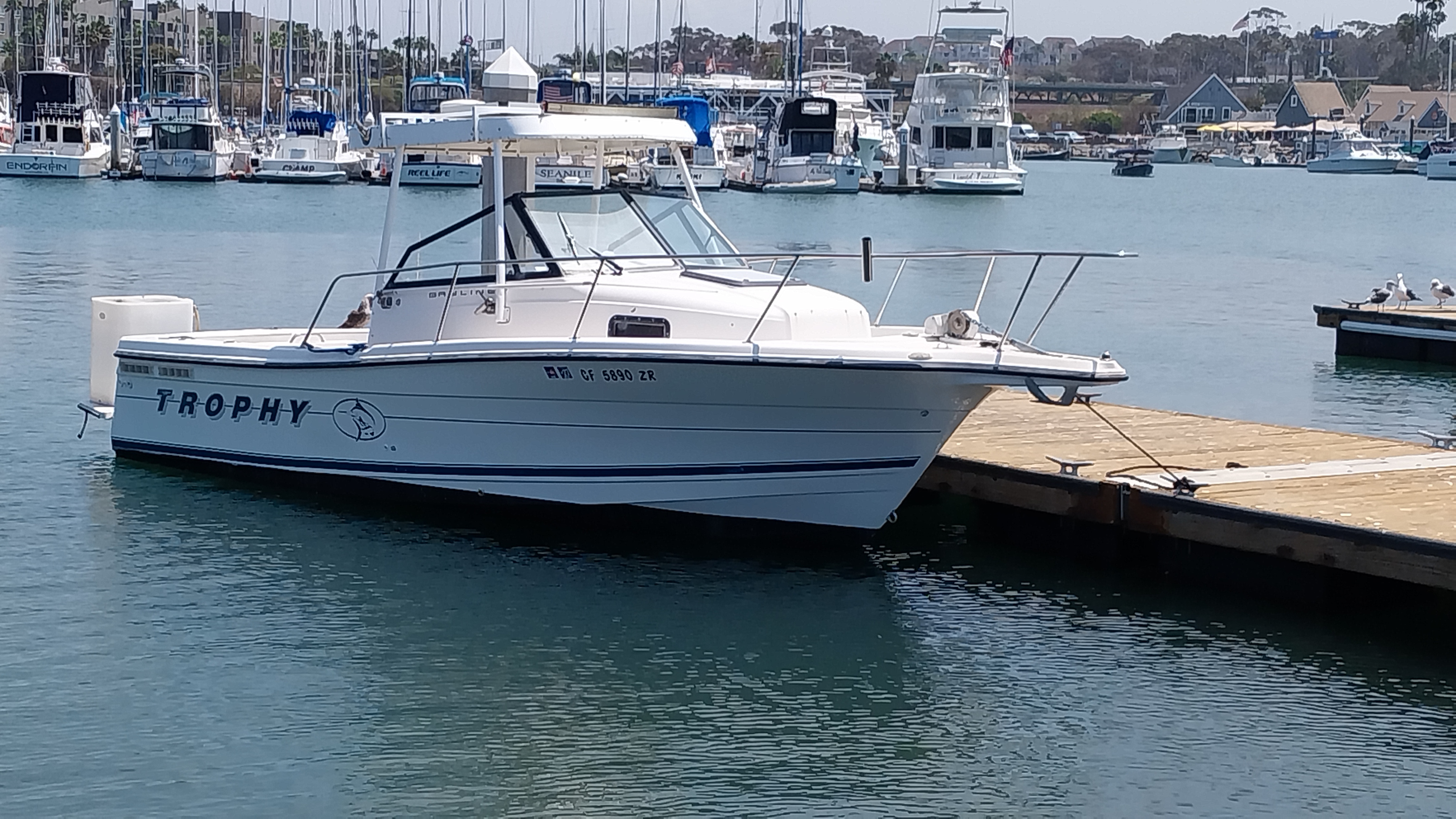 1996 Bayliner 2352 Trophy Walkaround in fallbrook CA
