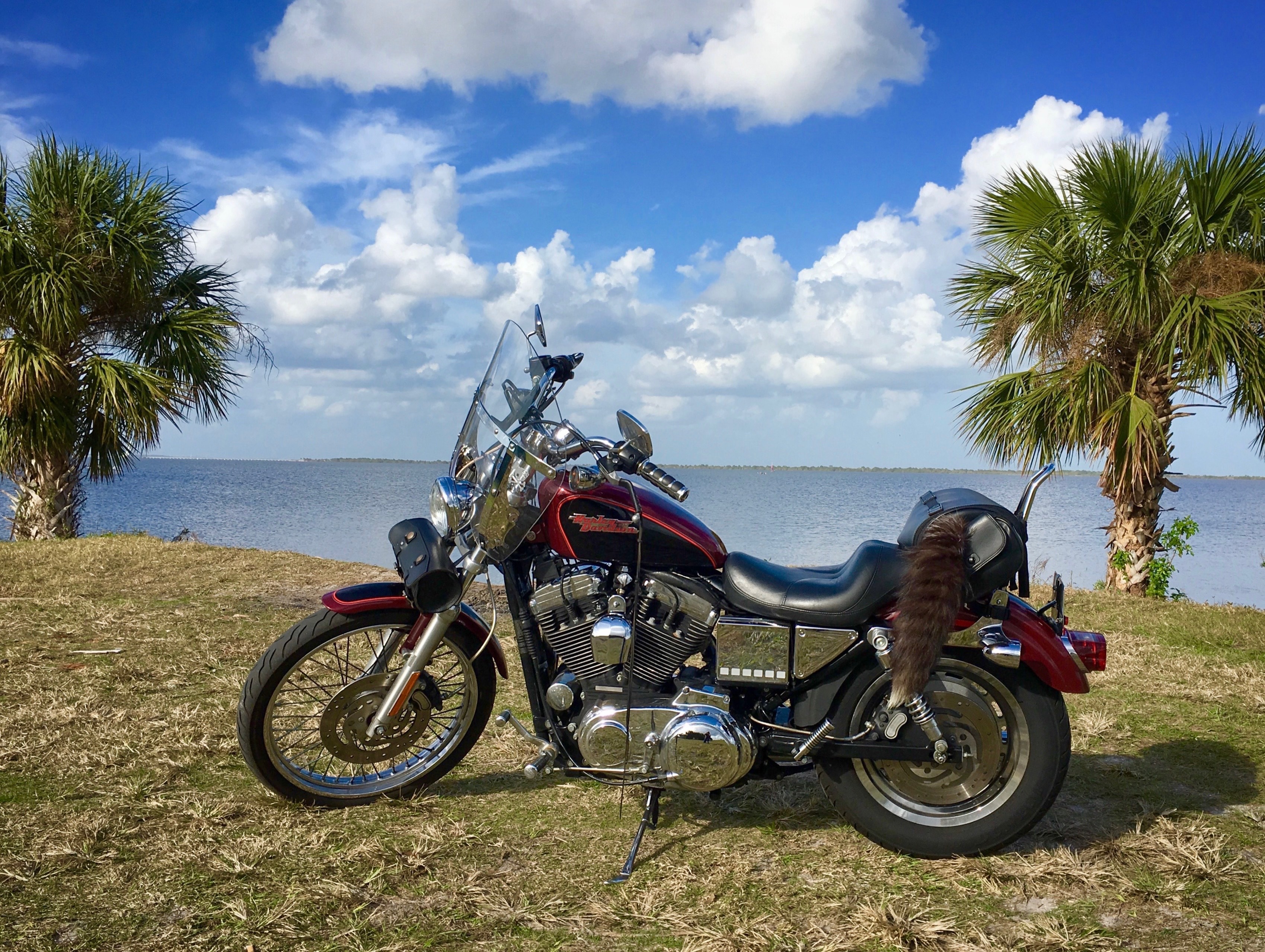 2002 Harley-Davidson SPORTSTER 1200 CUSTOM XL1200C CUSTOM XL1200C in Stevenson Ranch, CA