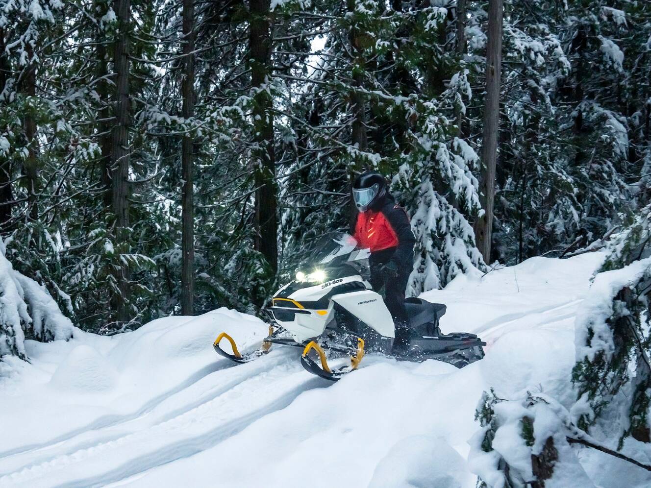A photo of this 2025 Ski-Doo Expedition Electric Rotax E-Power ES Cobra 1.6 w/ 10.2