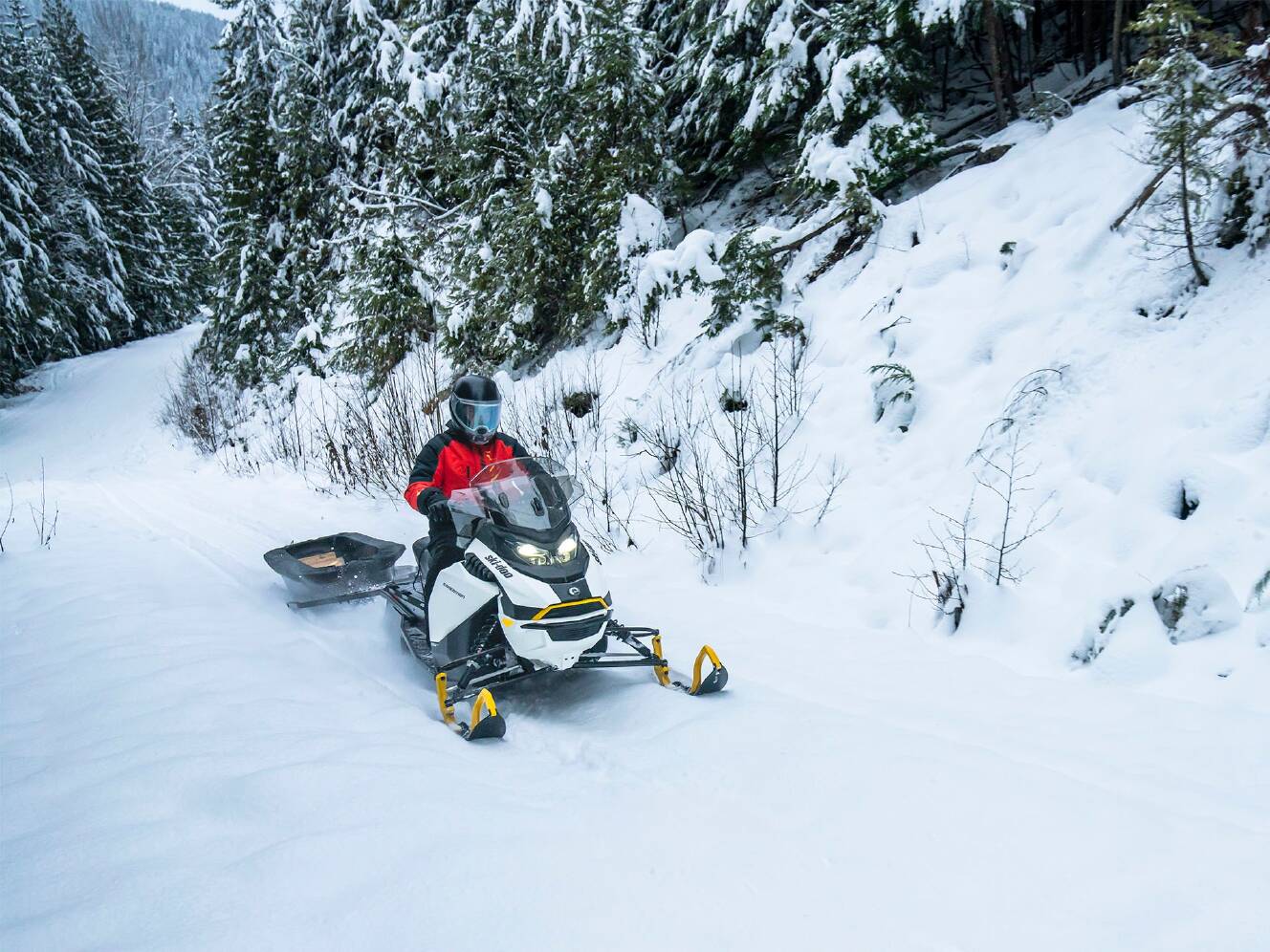 A photo of this 2025 Ski-Doo Expedition Electric Rotax E-Power ES Cobra 1.6 w/ 10.2