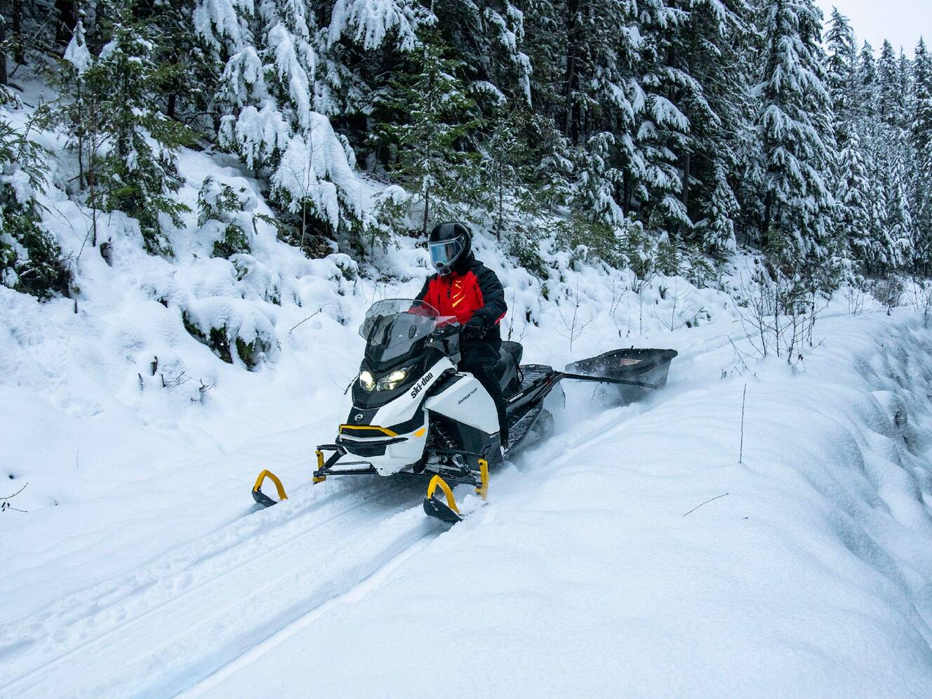 A photo of this 2025 Ski-Doo Expedition Electric Rotax E-Power ES Cobra 1.6 w/ 10.2