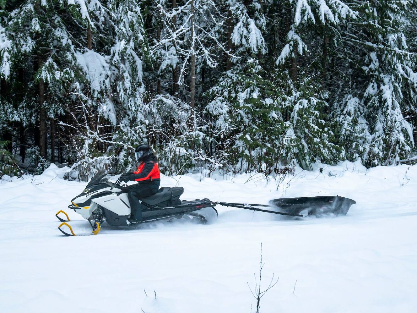 A photo of this 2025 Ski-Doo Expedition Electric Rotax E-Power ES Cobra 1.6 w/ 10.2