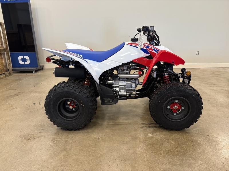 2025 Honda TRX250X Recreation/Utility ATV