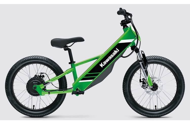 2025 Kawasaki ELEKTRODE 20 in Bloomsburg, PA