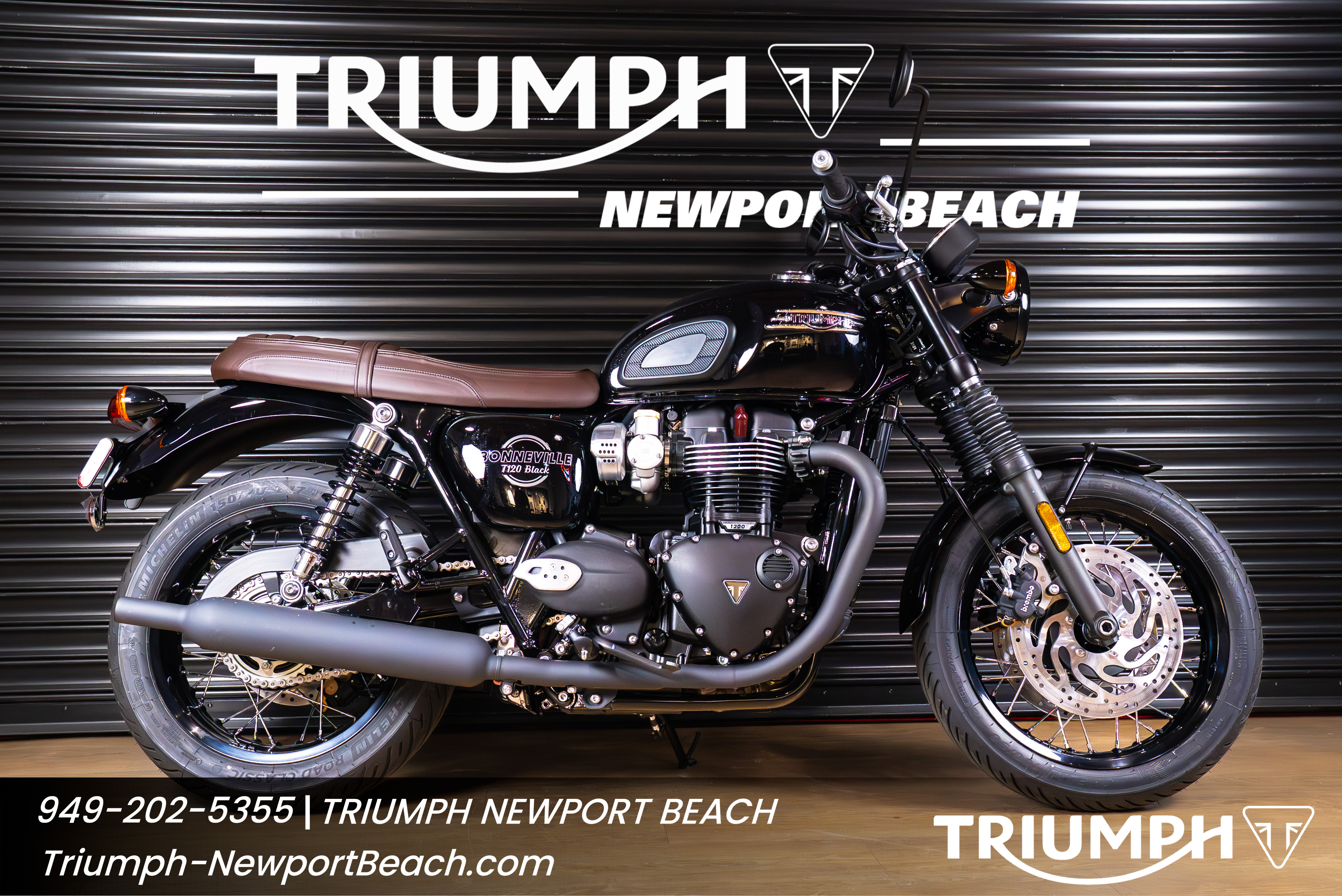 2026 Triumph BONNEVILLE T120 BLACK BLACK in Costa Mesa, CA