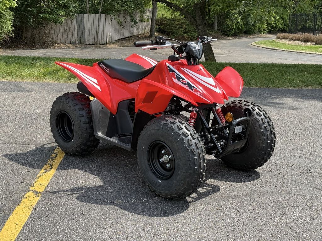2025 Honda® TRX90X in medina OH