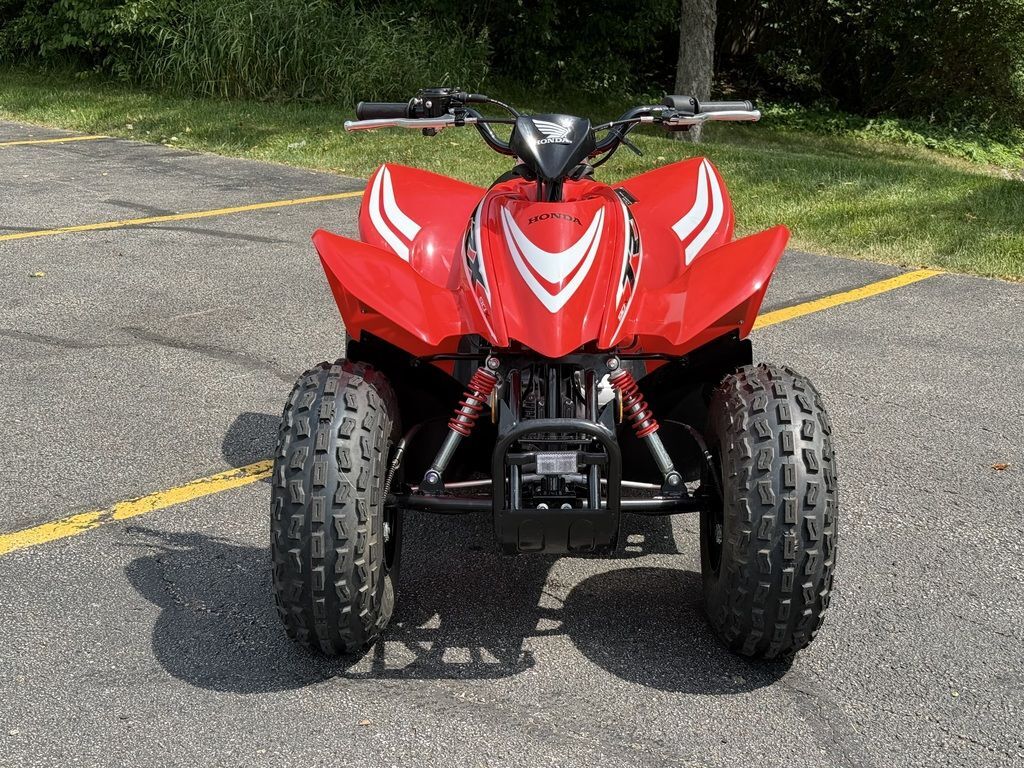 2025 Honda® TRX90X in medina OH
