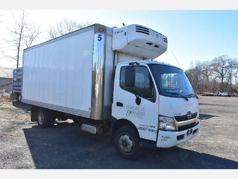 2016 HINO 195