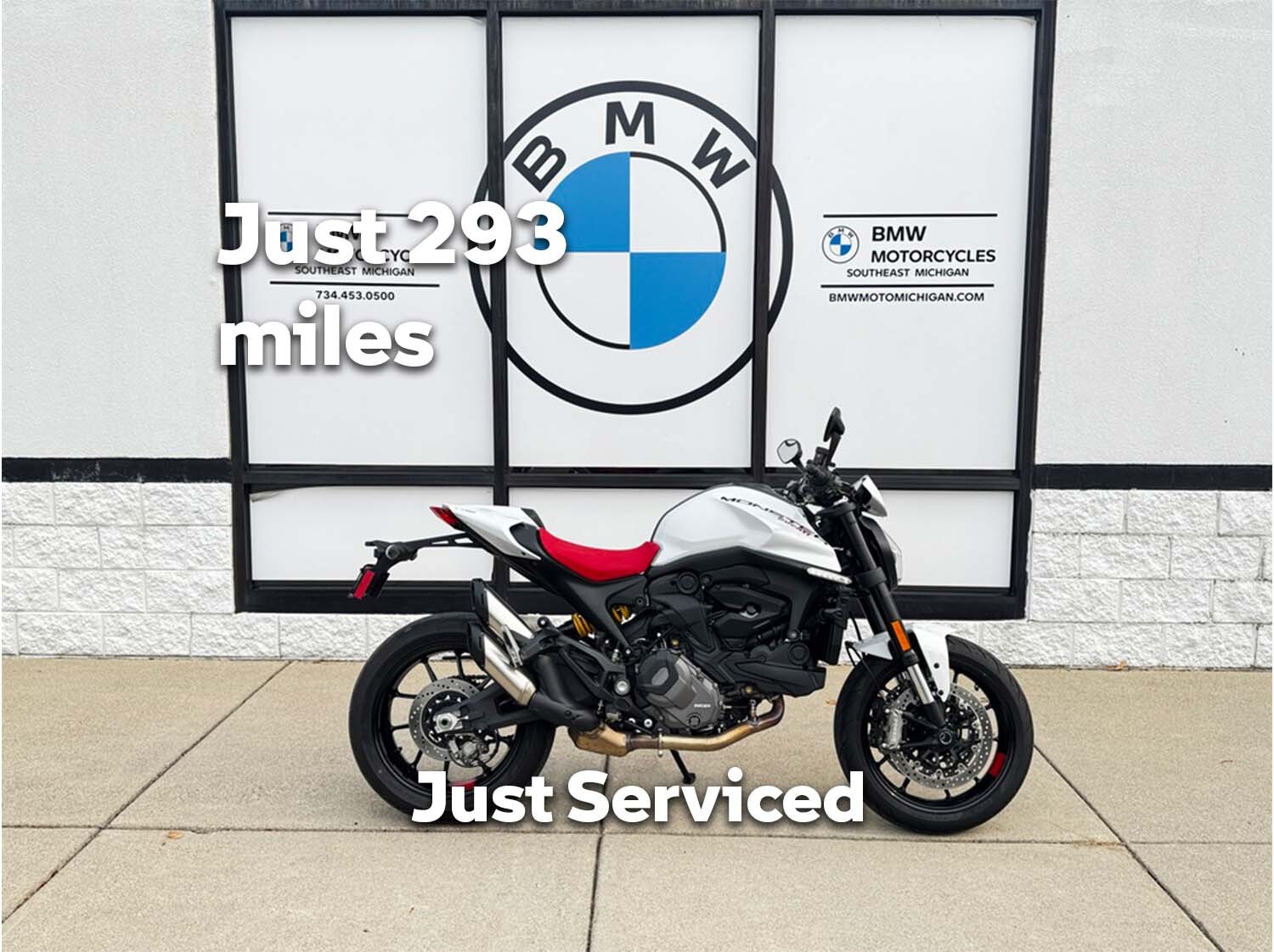 2024 Ducati MONSTER PLUS PLUS in Plymouth, MI