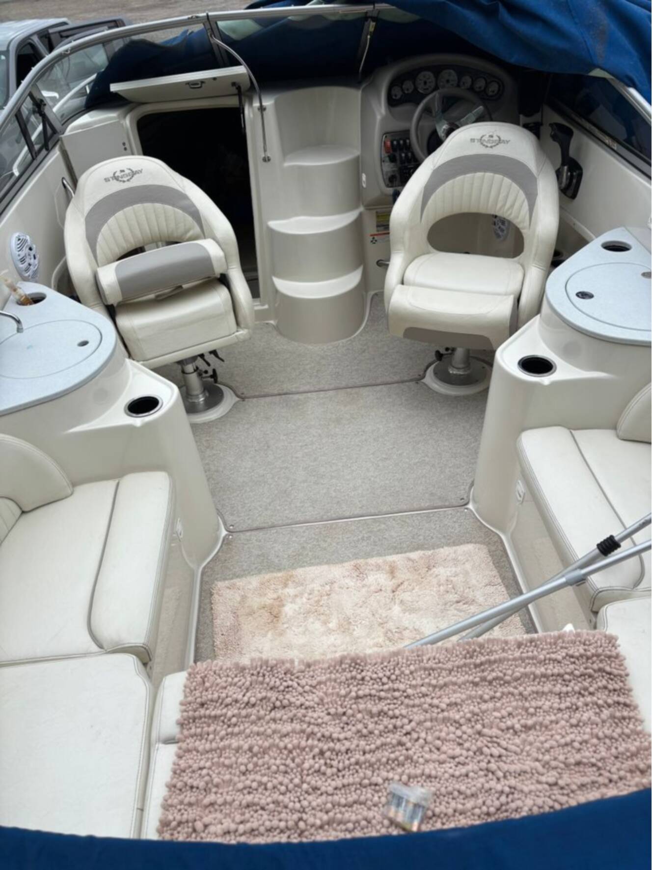 A photo of this 2009 Stingray 250 CR