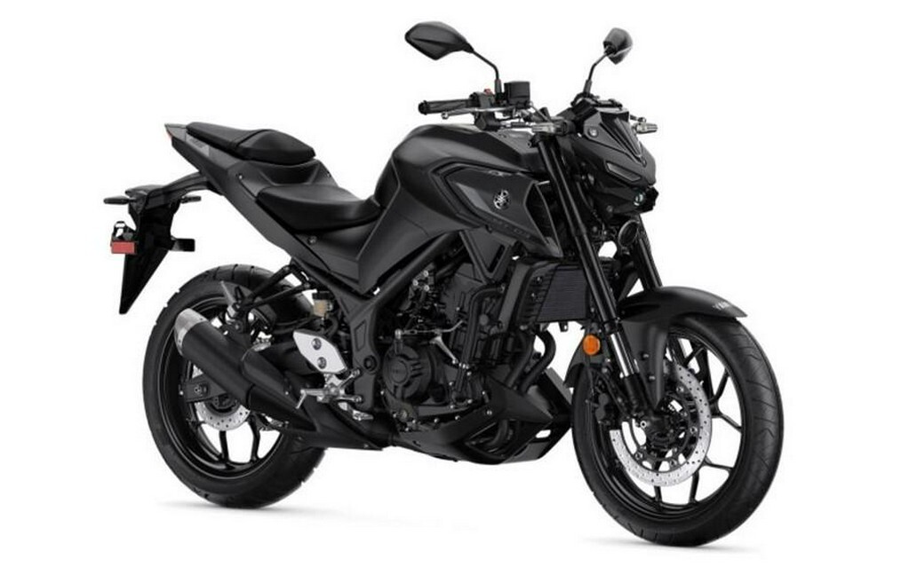 2024 Yamaha MT-03 03 in Maumee, OH