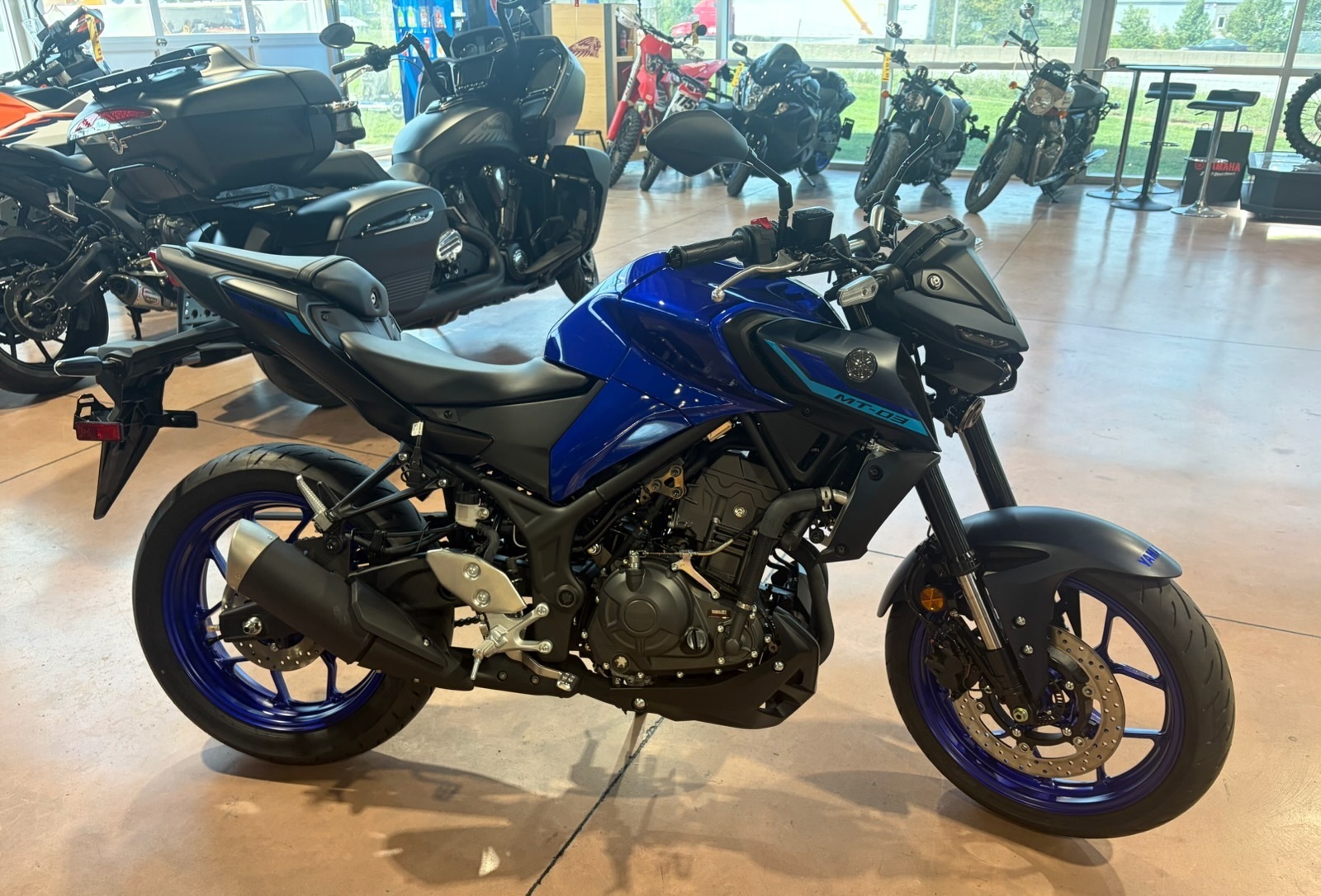 2026 Yamaha MT-03 03 in Walton, KY