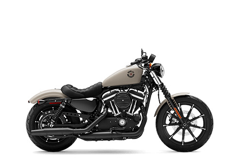 2022 Harley-Davidson Iron 883 IRON in Winterville, NC