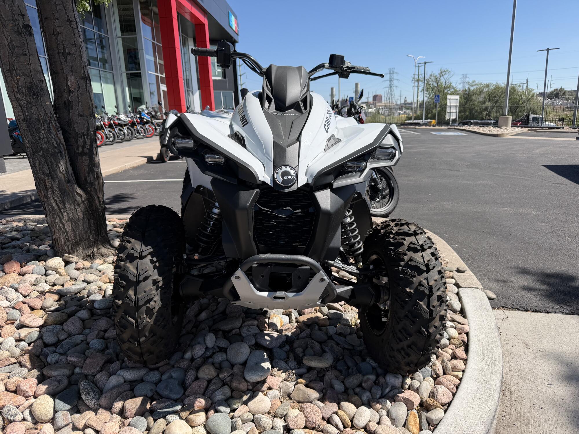 2023 Can-Am Renegade 650 BASE in Colorado Springs, CO