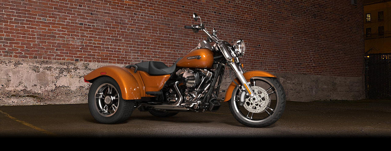 2015 Harley-Davidson Freewheeler in Miami, FL