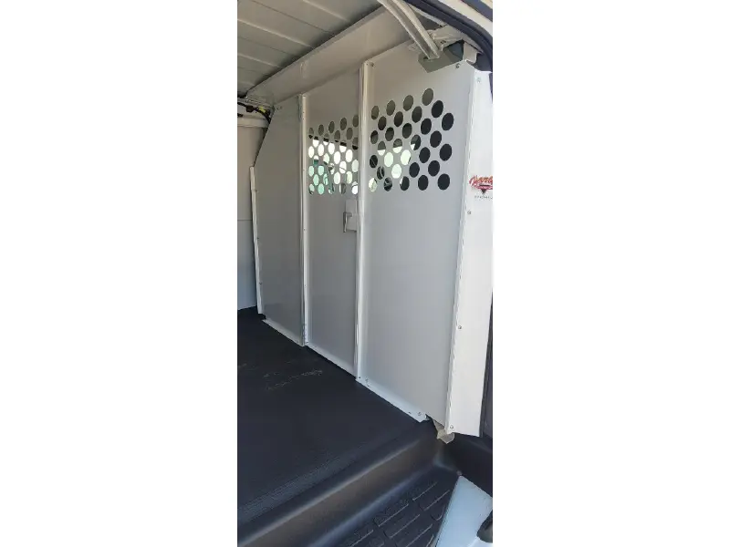 2025 CHEVROLET EXPRESS G2500