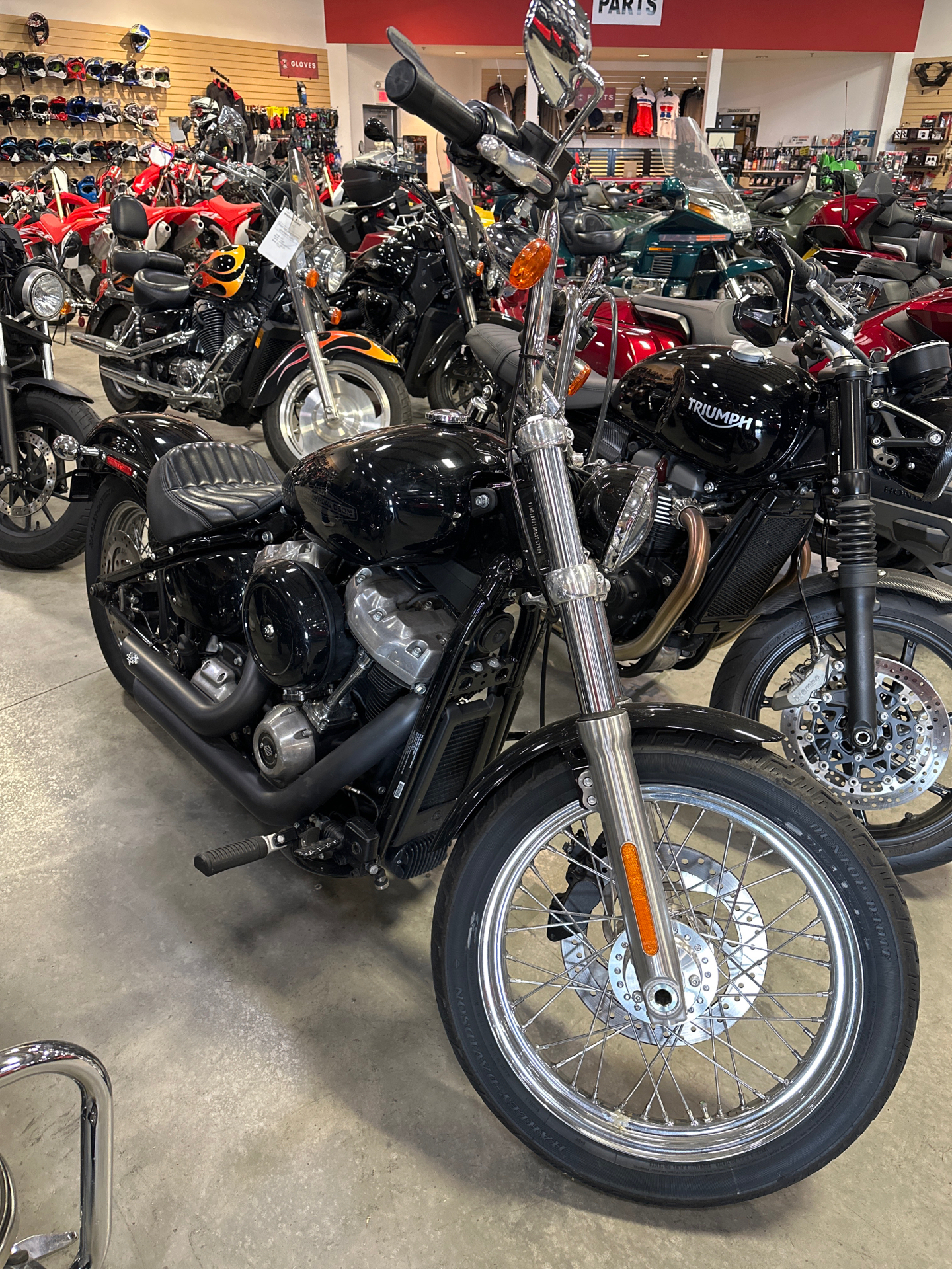 2021 Harley-Davidson Softail® Standard STANDARD in Davenport, IA