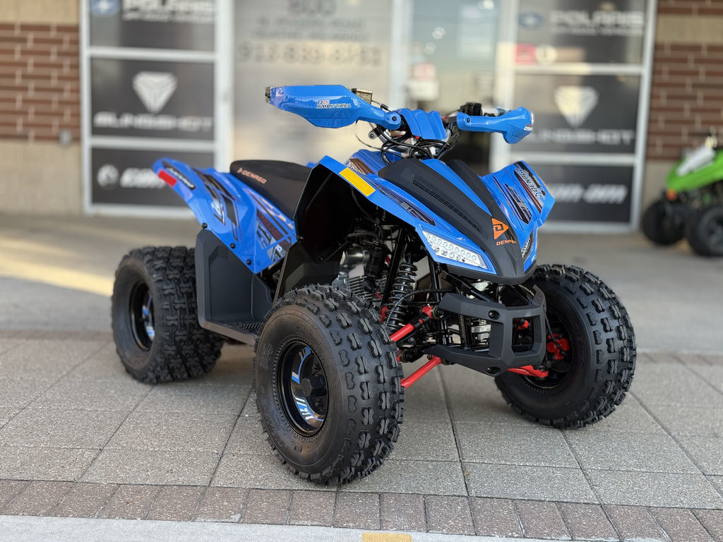 2026 Denago Powersports Trailhawk 10FI in olathe KS