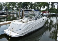Sea Ray SDX 230 Surf Review image