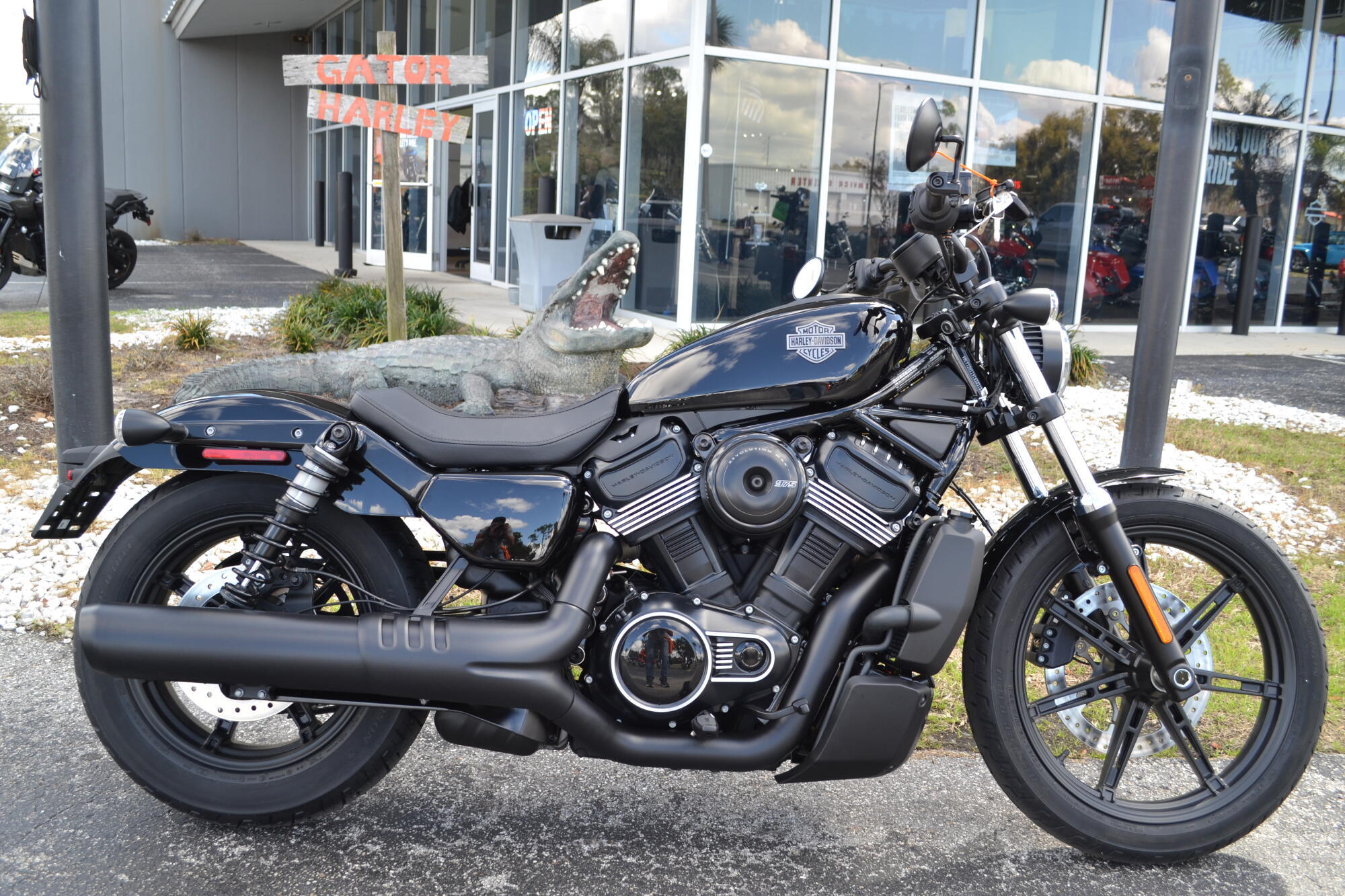 2026 Harley-Davidson Nightster in Leesburg, FL