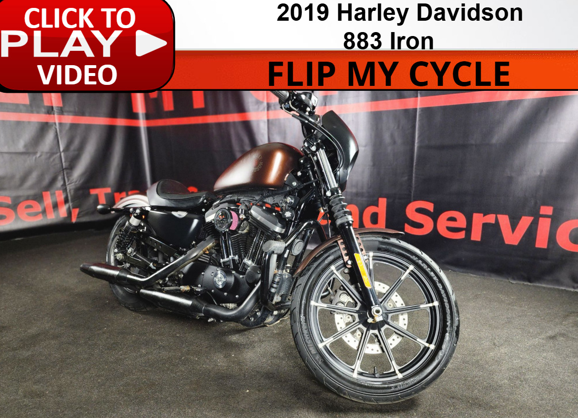 2019 Harley-Davidson Sportster® Iron 883 in Fayetteville, NC