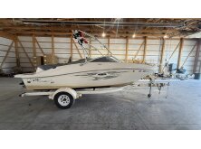 Sea Ray SDX 230 Surf Review image