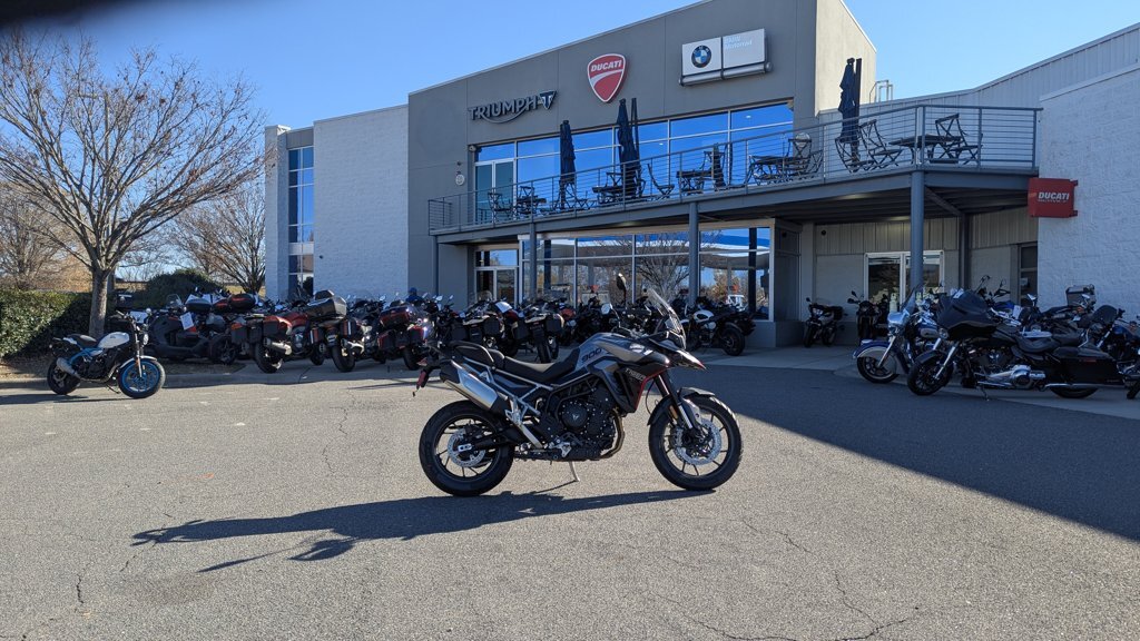 2024 Triumph Graphite Sapphire Black in Charlotte, NC