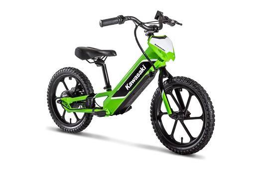 2024 Kawasaki ELEKTRODE® 20 in Denver, CO