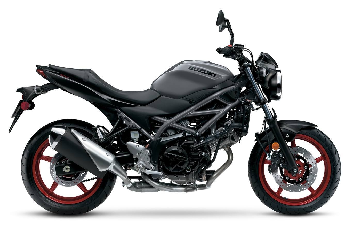 2023 Suzuki SV650 ABS ABS in Cumberland, MD