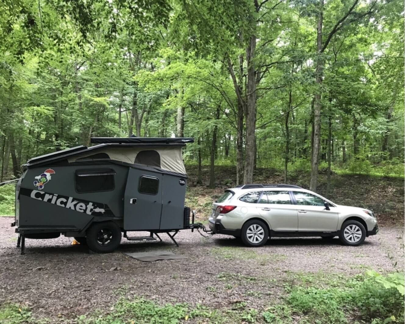 A photo of this 2019 Taxa Outdoors CRICKET STANDARD