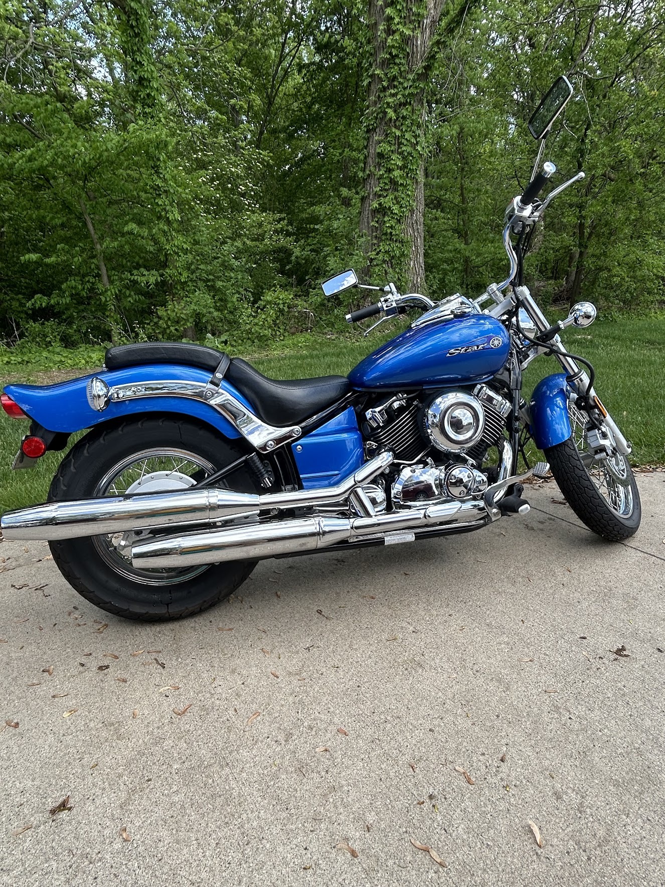 2008 Yamaha V STAR 650 650 in Coldwater, MI