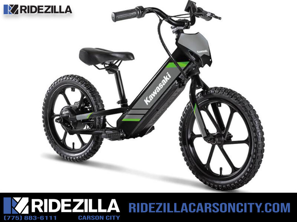 2025 Kawasaki Elektrode® 16 in Carson City, NV
