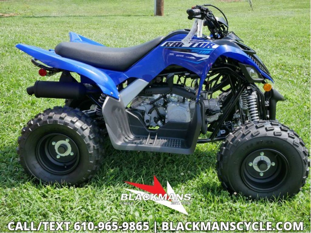 2026 Yamaha Raptor 110 in emmaus PA