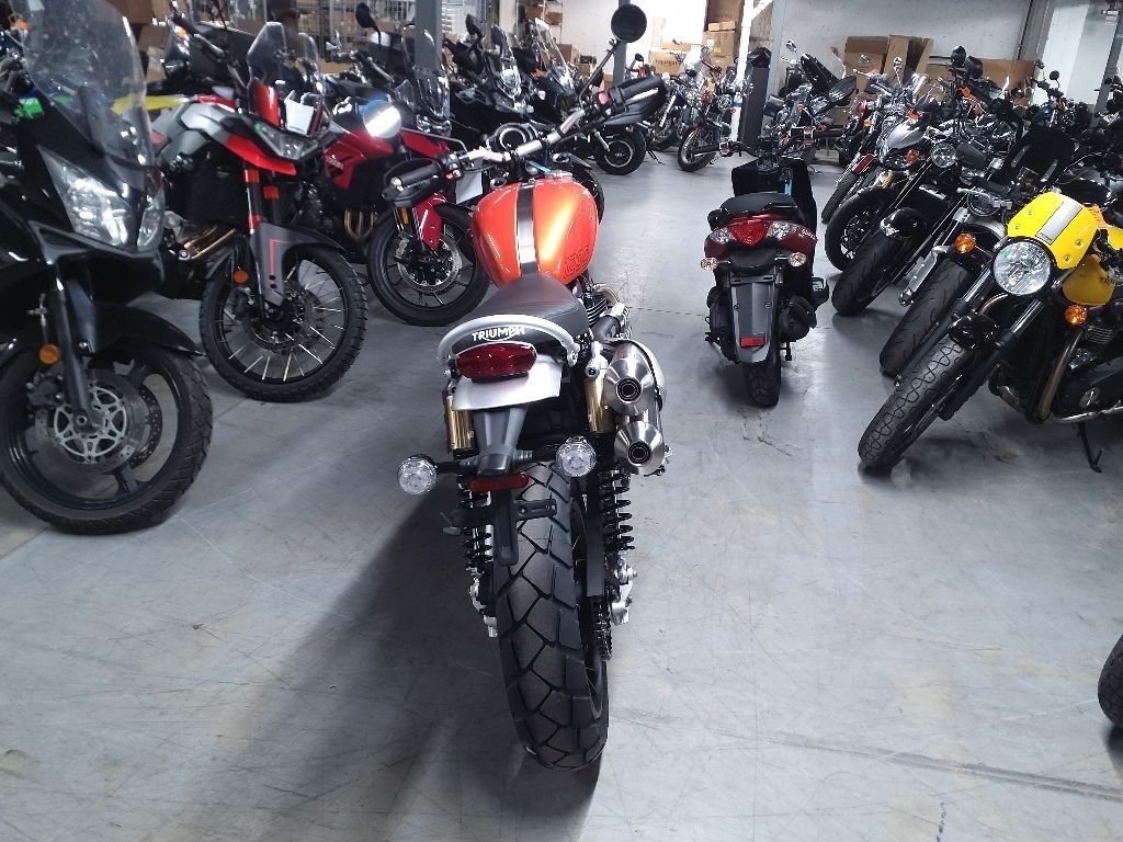 2024 Triumph SCRAMBLER 1200 XE XE in Augusta, ME