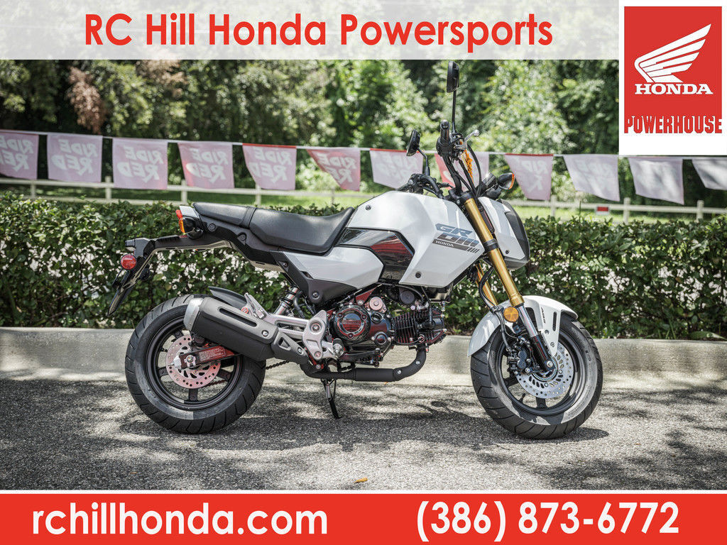 2024 Honda® Grom in Deland, FL