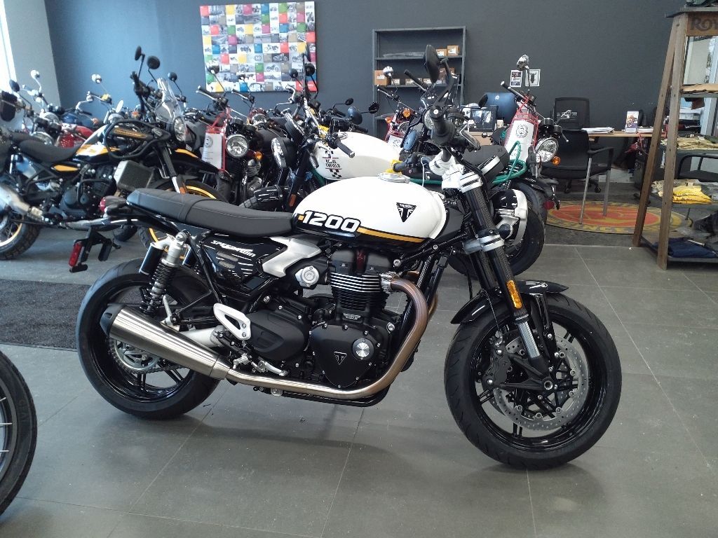 2025 Triumph Speed Twin 1200 in Augusta, ME